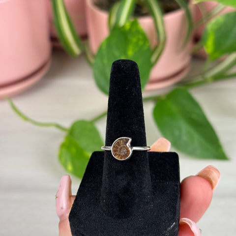 Sterling Silver Ammonite Ring