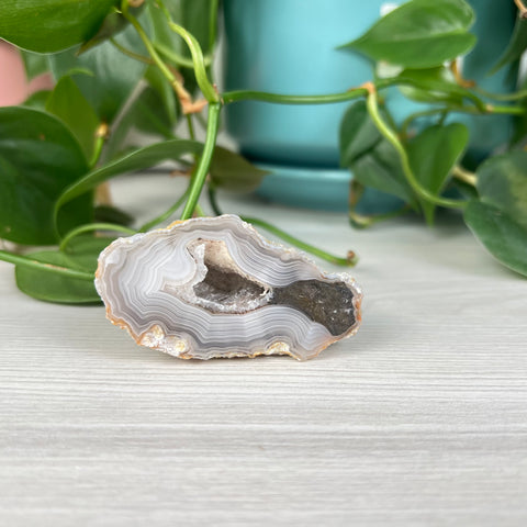 Laguna Agate