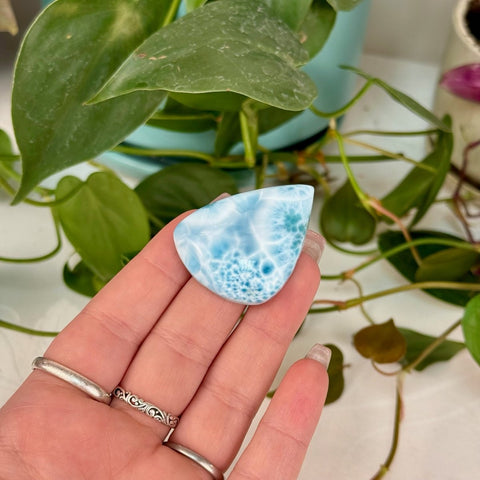 AAA Larimar Cabochon 222 15 - Kenna's Crystals from TikTok