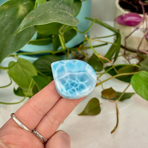 AAA Larimar Cabochon 299 18 - Kenna's Crystals from TikTok