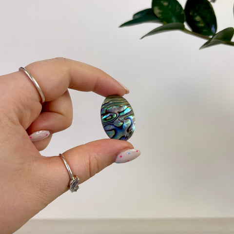 Abalone Cabochon