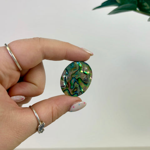 Abalone Cabochon