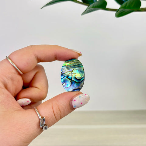 Abalone Cabochon