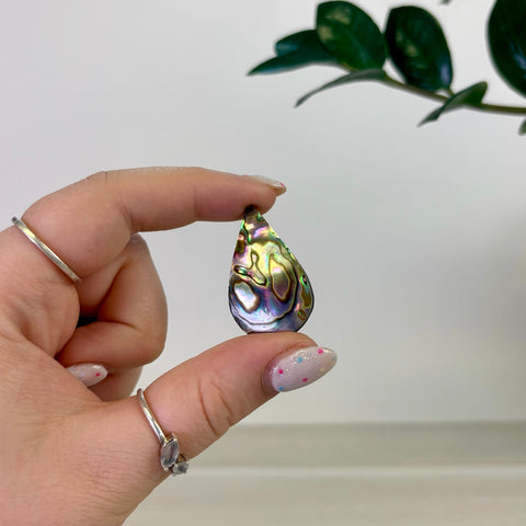 Abalone Cabochon