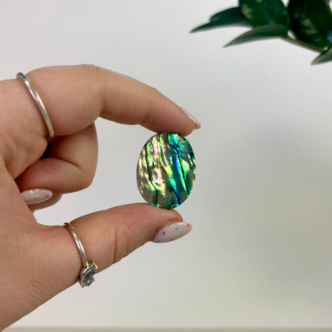 Abalone Cabochon
