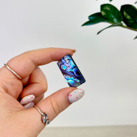 Abalone Cabochon