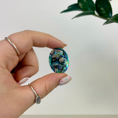 Abalone Cabochon
