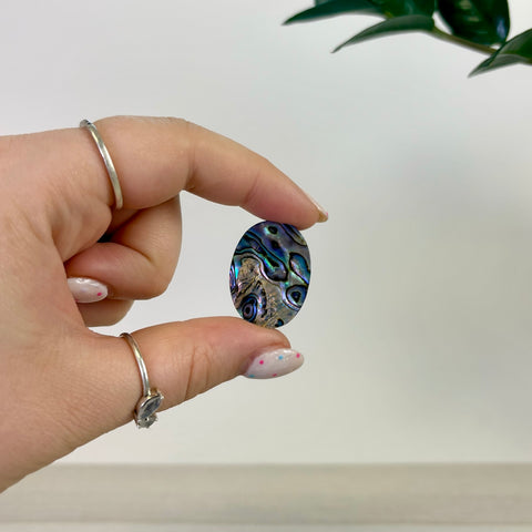 Abalone Cabochon