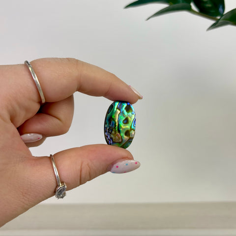 Abalone Cabochon