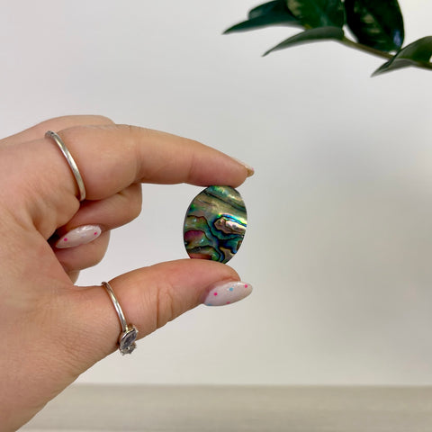 Abalone Cabochon