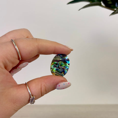 Abalone Cabochon