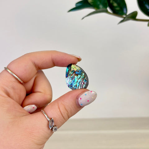 Abalone Cabochon