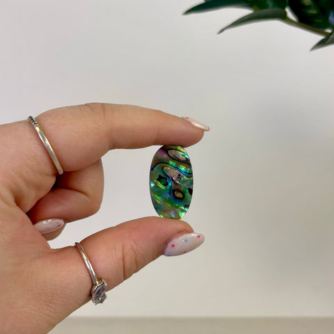 Abalone Cabochon