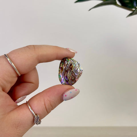 Abalone Cabochon