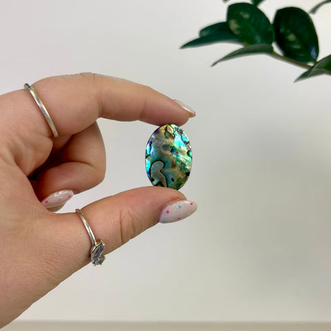 Abalone Cabochon