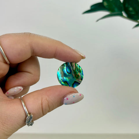 Abalone Cabochon