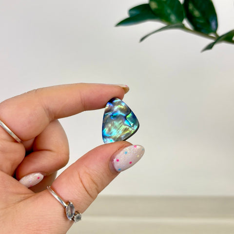 Abalone Cabochon