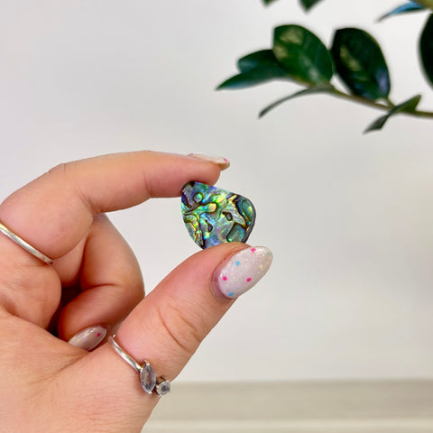 Abalone Cabochon