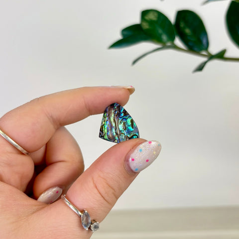 Abalone Cabochon