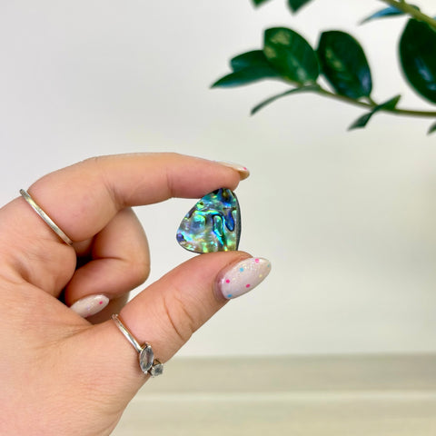 Abalone Cabochon