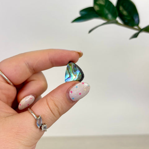 Abalone Cabochon