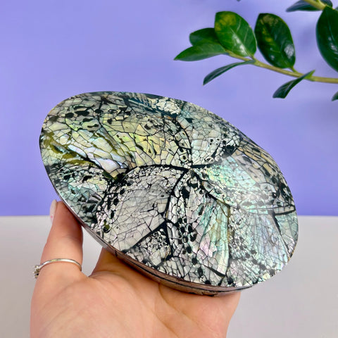 Abalone Shell Jewellery Box