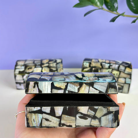 Abalone Shell Treasure Chest