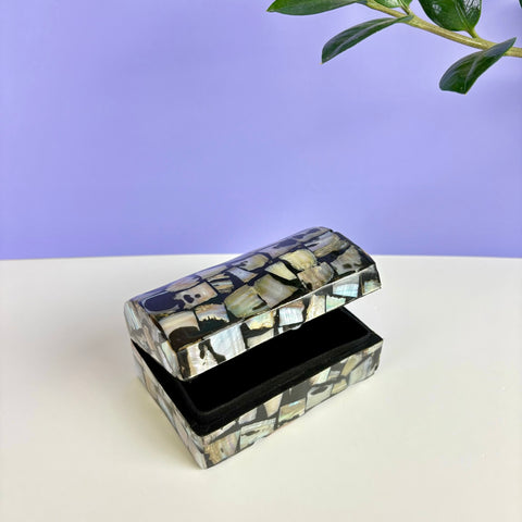 Abalone Shell Treasure Chest
