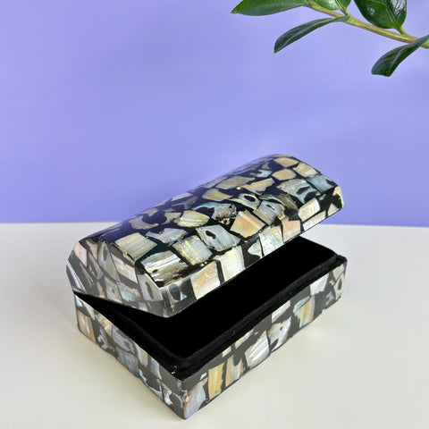 Abalone Shell Treasure Chest