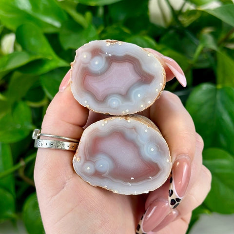 Two polished pink and white agate slices, showing natural concentric bands and crystal formations.