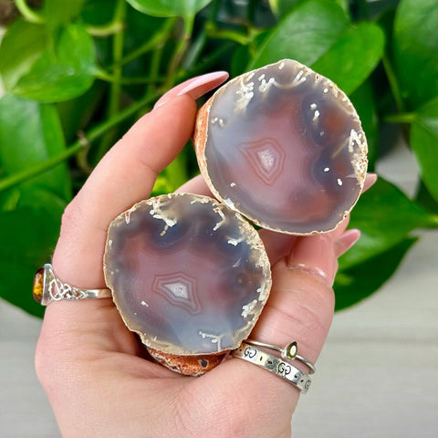 Hand holding two polished agate slices with purple, pink, and white banding, showing crystal geode centers.