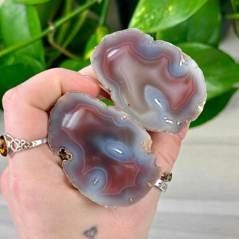 Two polished agate slices with red, white, and gray bands held in a hand against green foliage.