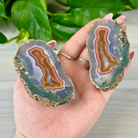 Two polished agate pairs with orange, white, and gray bands, surrounded by green and brown rough edges, held in a hand.