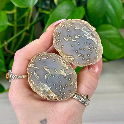 Two polished gray agate pairs with white botryoidal formations, held in a hand against green foliage.