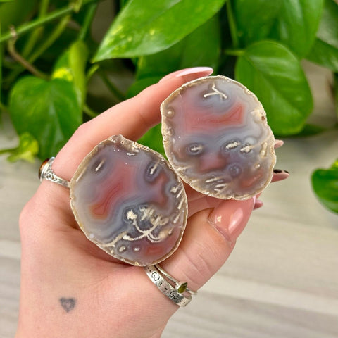 Two polished agate slices, red and gray with white banding, held in a hand against green leaves.
