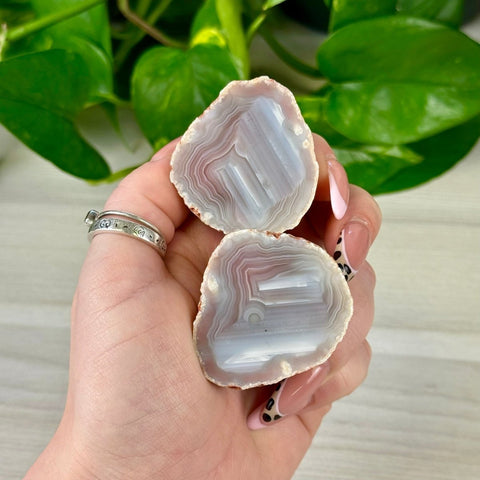 Two polished agate slices, light purple and white with natural bands, held in a hand.