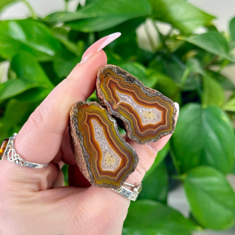 Hand holding two polished agate halves with brown, orange, and white concentric bands.