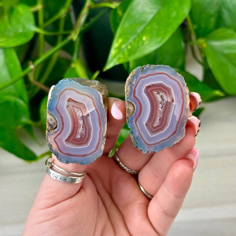 Two polished agate slices with blue, purple, and pink bands, held against green leaves.
