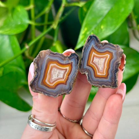 Two hands hold a pair of polished agate slices with concentric orange, white, and blue bands.