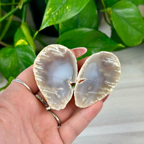 Two polished, natural agate halves with white and light gray banding, held in a hand.