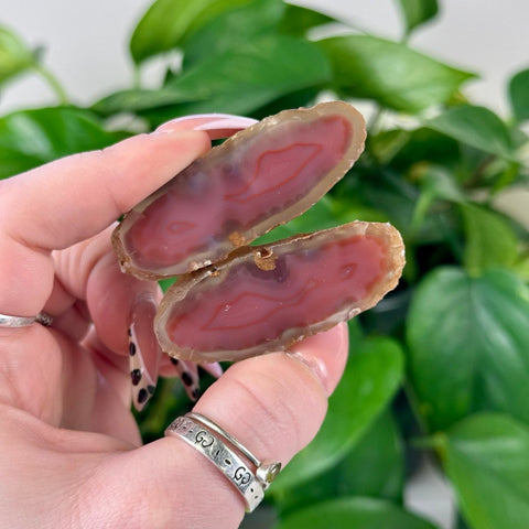 Two polished, natural red agate slices with white edges held against a green plant background.