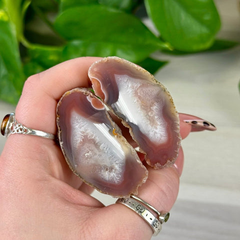 Two polished agate slices with deep reddish-brown bands and white crystalline centers held in a hand.