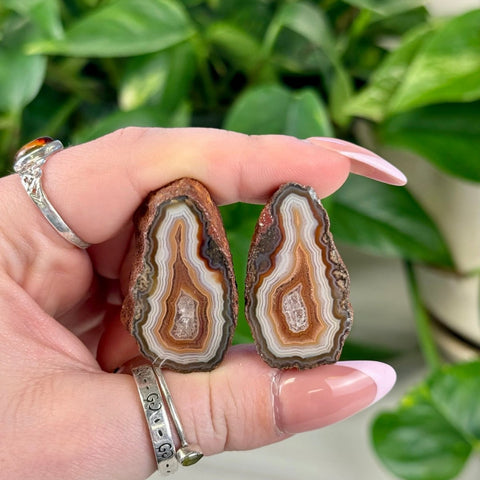 Agate Pairs (M2-X3) T2: Two brown, white, and orange banded agate slices held against green leaves.