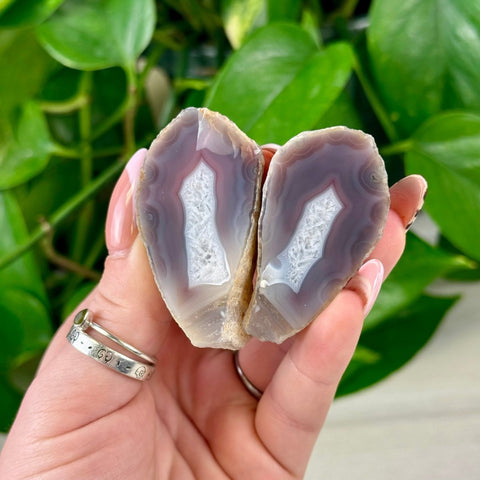 Polished gray and white agate geode pair held against a green plant.