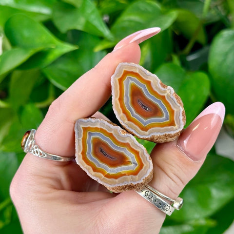 Two polished agate pairs, Z2 variant, with concentric orange, brown, blue, and white bands, held in a hand.