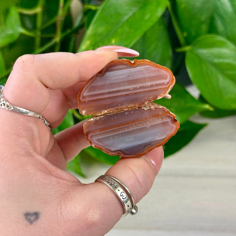 Hand holding a pair of polished, banded brown and white agate slices.