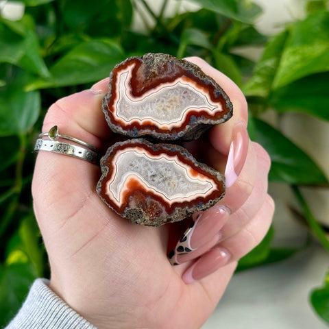 Agate pairs, G4 variant, showing rough brown exterior and polished red, white, and orange banded interior.