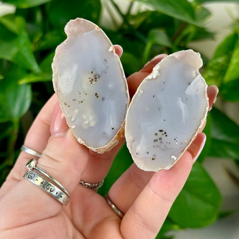 Two polished agate slices, light blue-grey with dark specks and natural white banding, held against green leaves.