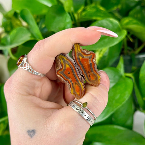 Vibrant orange and yellow agate pairs with natural rough edges, held against green foliage.