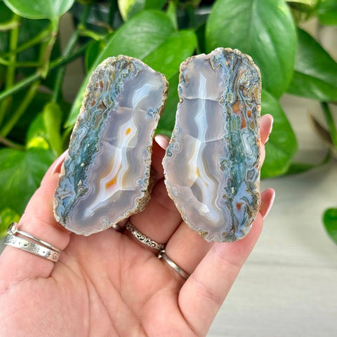 Two polished agate slices, gray-blue with white, orange, and green bands, held against green leaves.